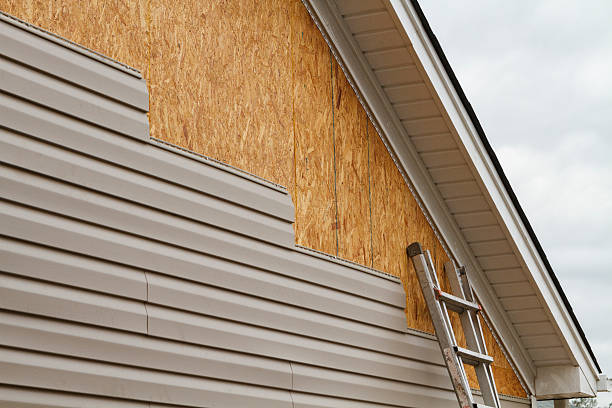 Professional Siding Repair technician working in West Springfield, VA